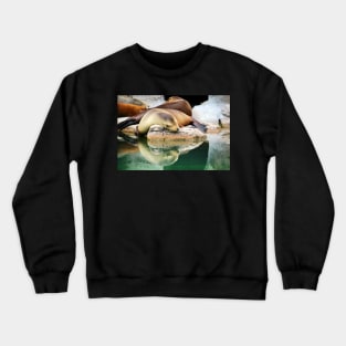 Sleepy Sea Lion Crewneck Sweatshirt